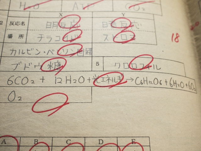 学年末テストで結果につなげる勉強法② 過去のテストの間違い直しを武器にする